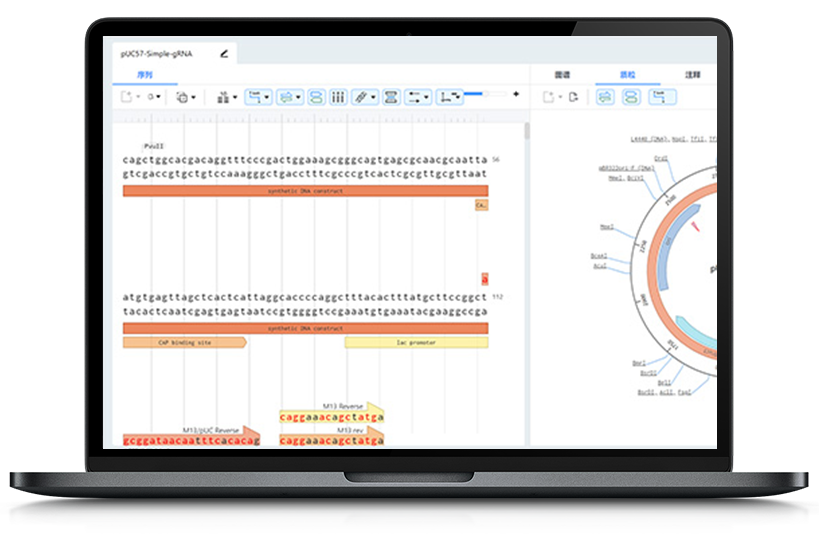 生物序列编辑器  iLabPower SEQ