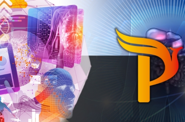 1701759990936431bIr9.png 小P.png