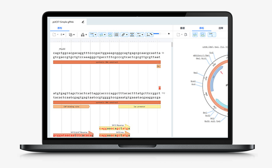 1719914675547237lFdv.png 截屏2024-07-02 18.04.24.png