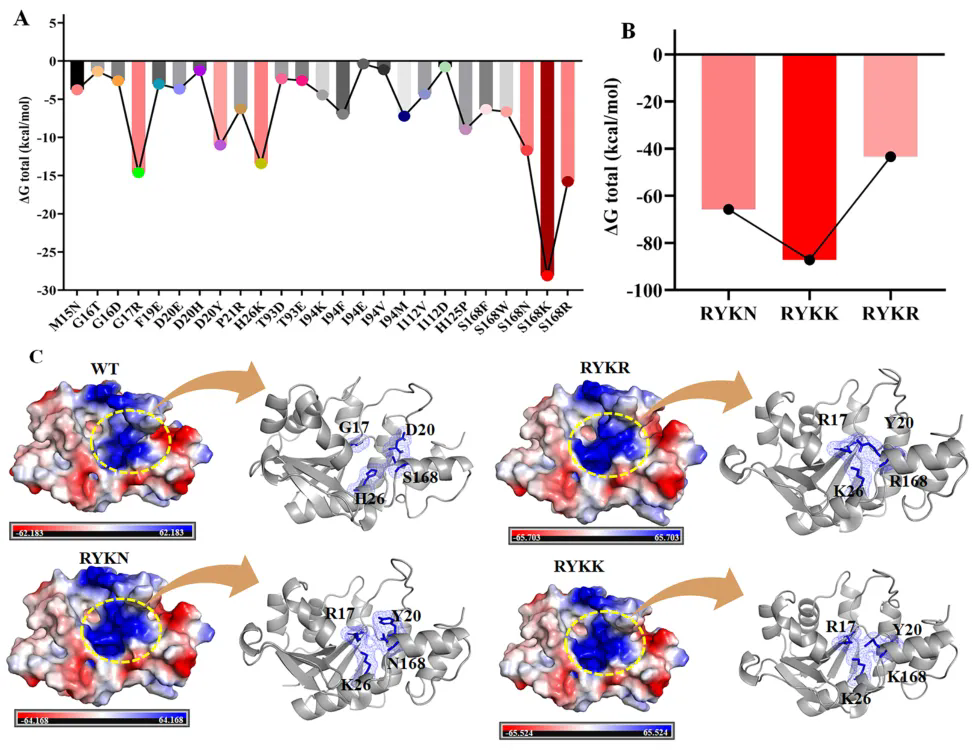 1764042766118438Enrt.png 1764042766118438Enrt.png